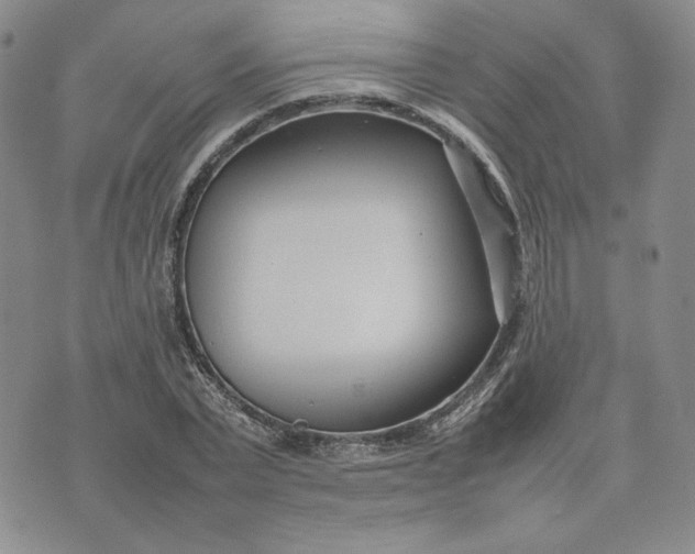 X0000075360783200609251101