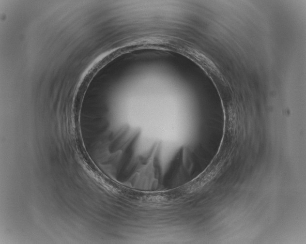 X0000075360784200609251101