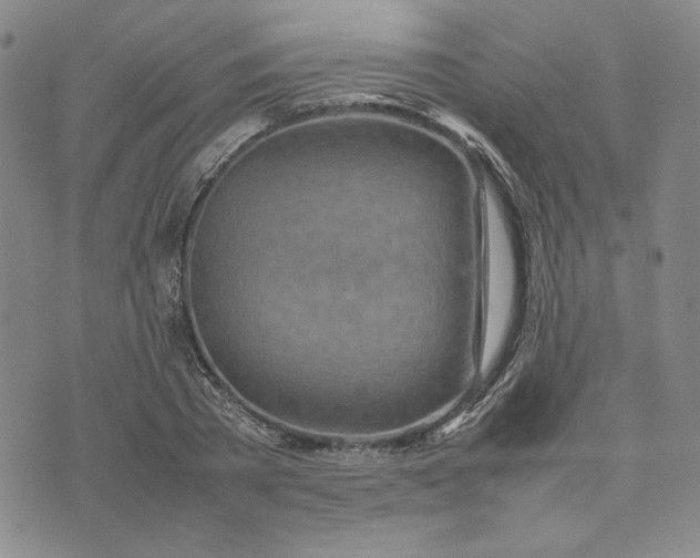 X0000075360785200609251101