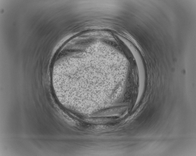 X0000075360787200609251101