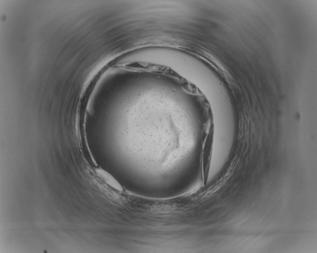 X0000075360788200609251101