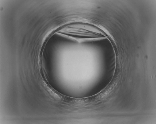 X0000075360791200609251100