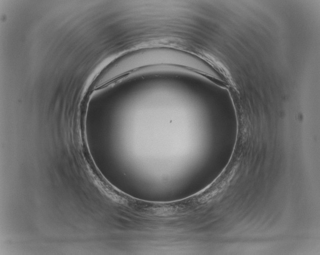 X0000075360792200609251100