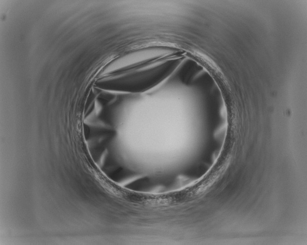 X0000075360793200609251100