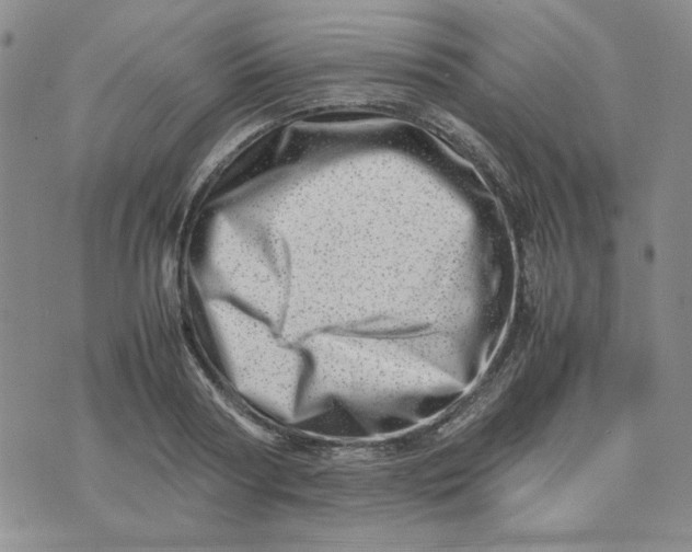 X0000075360794200609251100