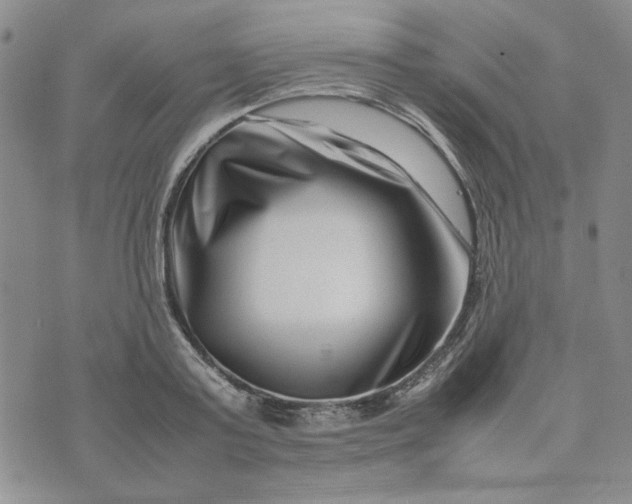 X0000075360795200609251100