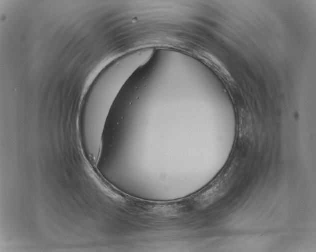 X0000075360796200609251100