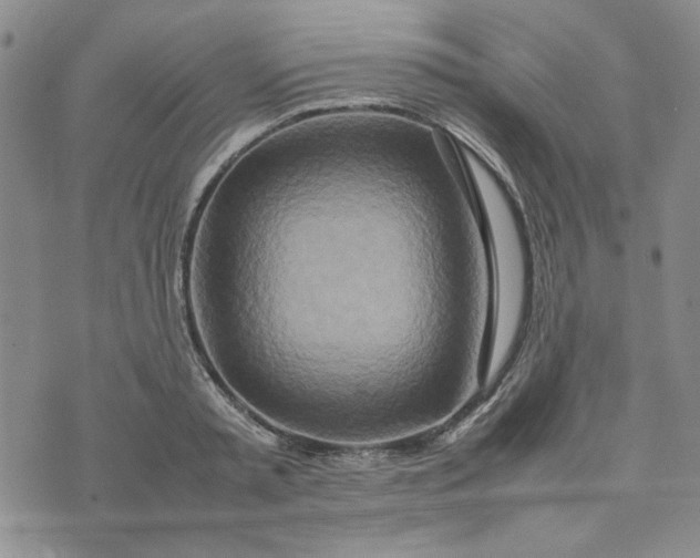 X0000075360797200609251100