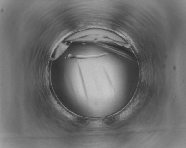 X0000075360798200609251100