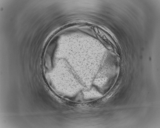 X0000075360799200609251100