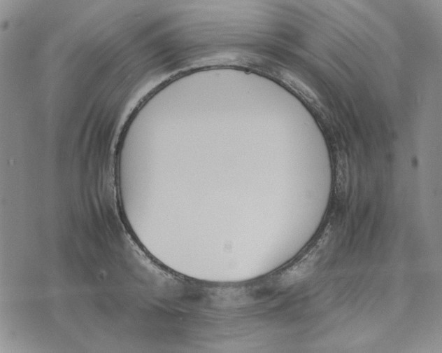 X0000075360800200609251100