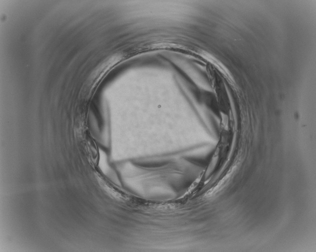 X0000075360801200609251100