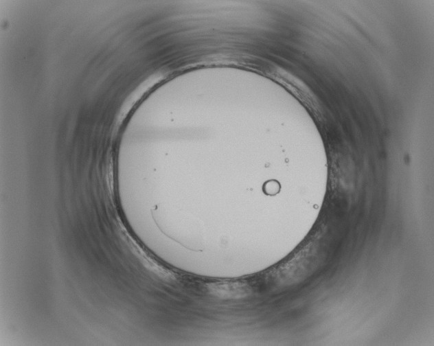 X0000075360804200609251100