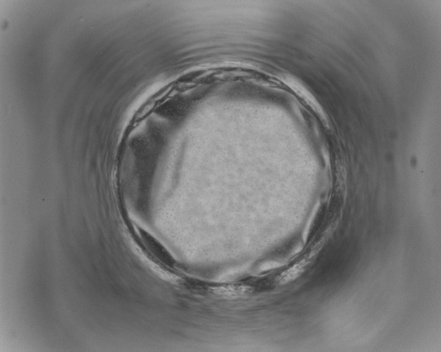 X0000075360805200609251100