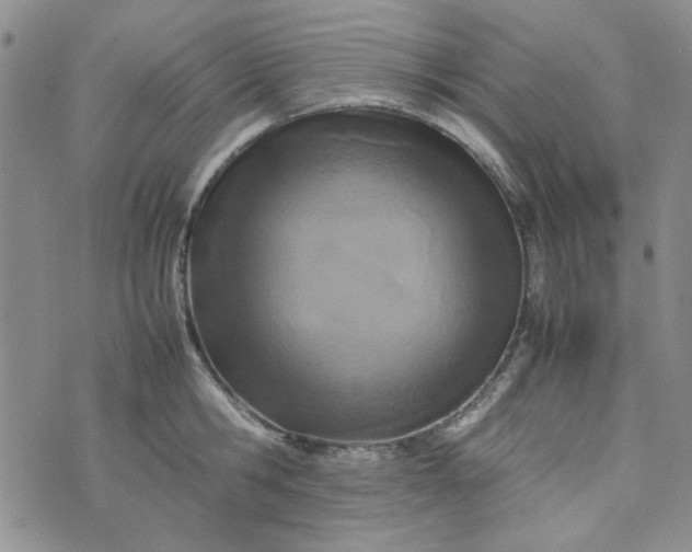 X0000075360806200609251100