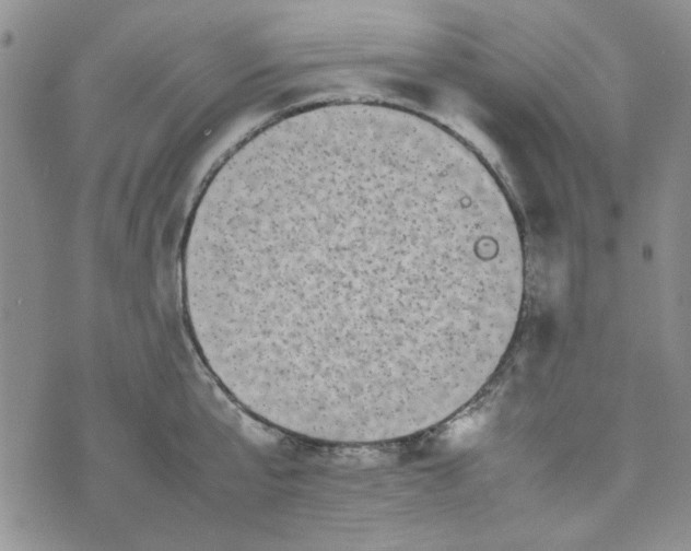 X0000075360807200609251100