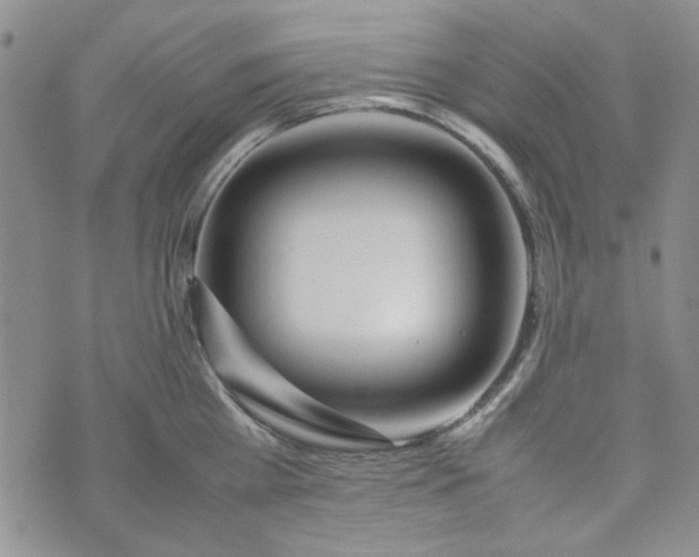 X0000075360809200609251100