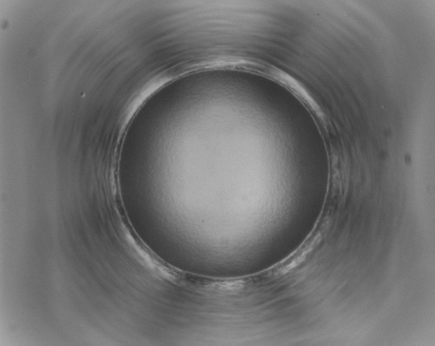 X0000075360810200609251100