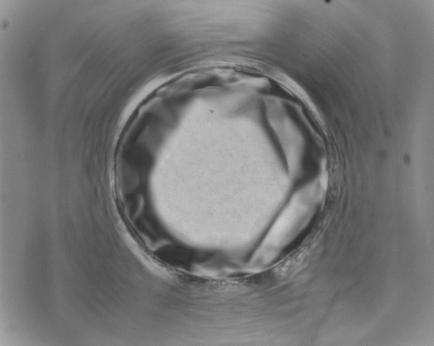 X0000075360811200609251100