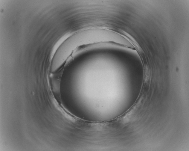 X0000075360812200609251100