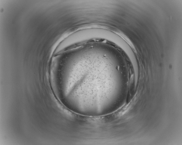 X0000075360813200609251100