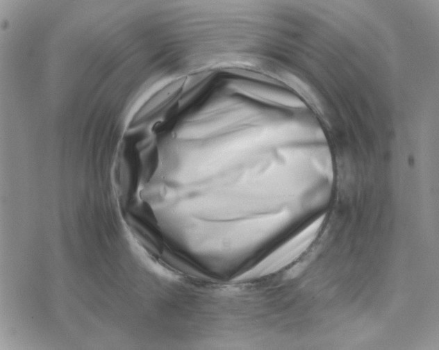 X0000075360814200609251100