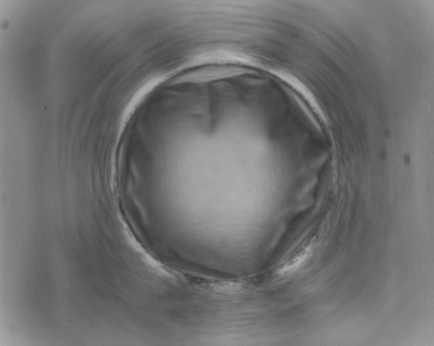 X0000075360815200609251100