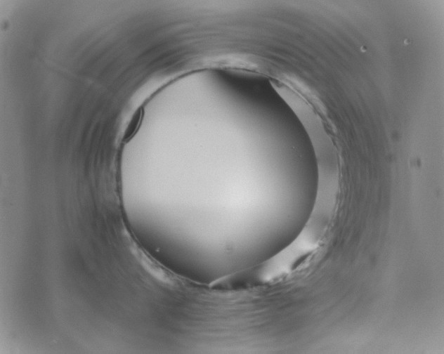 X0000075360816200609251100