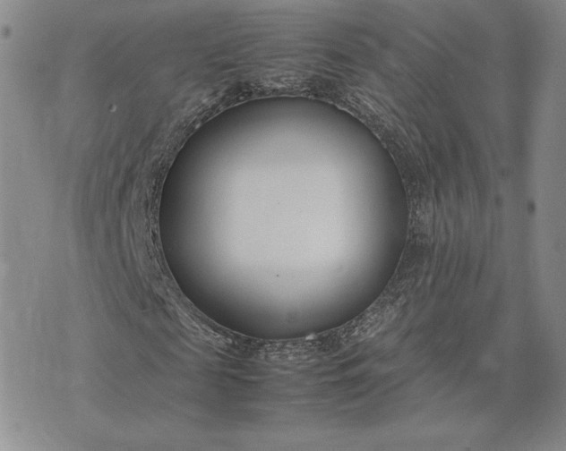 X0000075360817200609251059