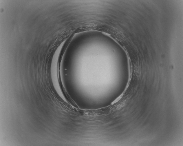 X0000075360818200609251059