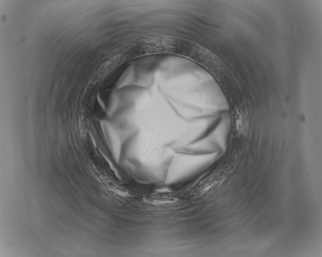 X0000075360819200609251059