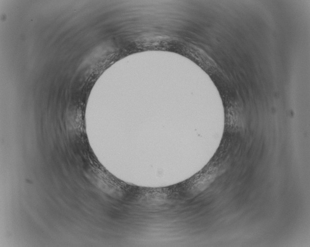 X0000075360820200609251059