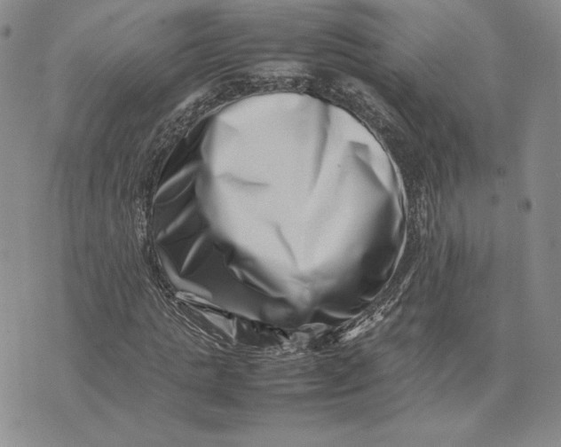 X0000075360821200609251059