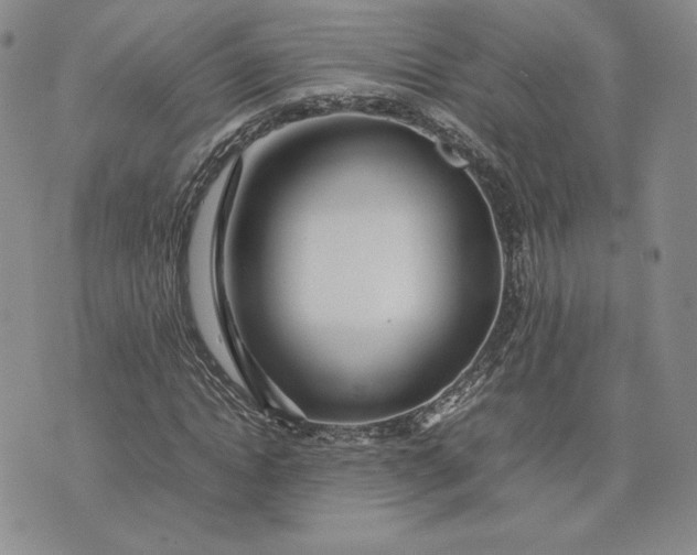 X0000075360822200609251059