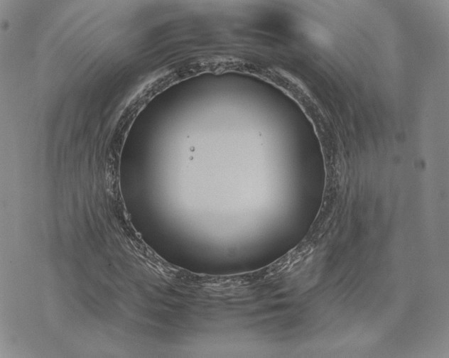 X0000075360823200609251059