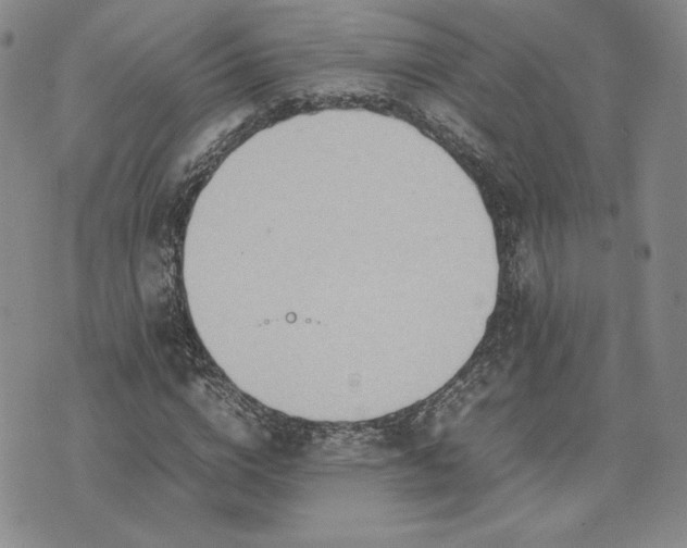 X0000075360824200609251059