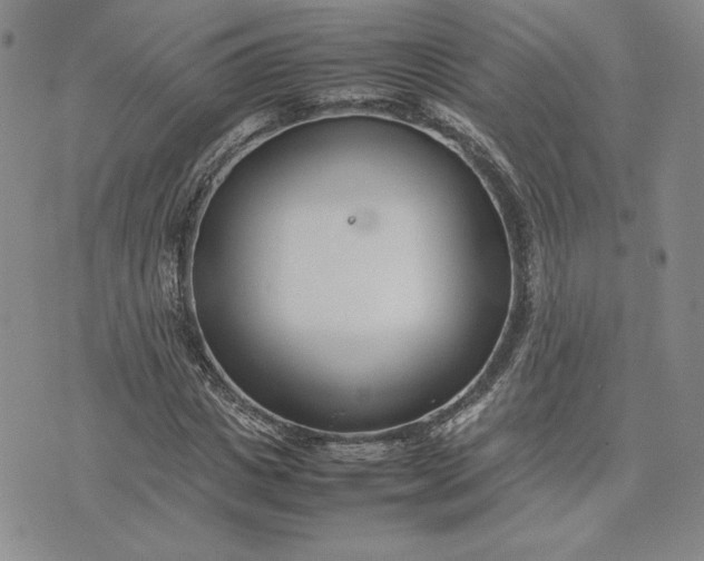 X0000075360825200609251059