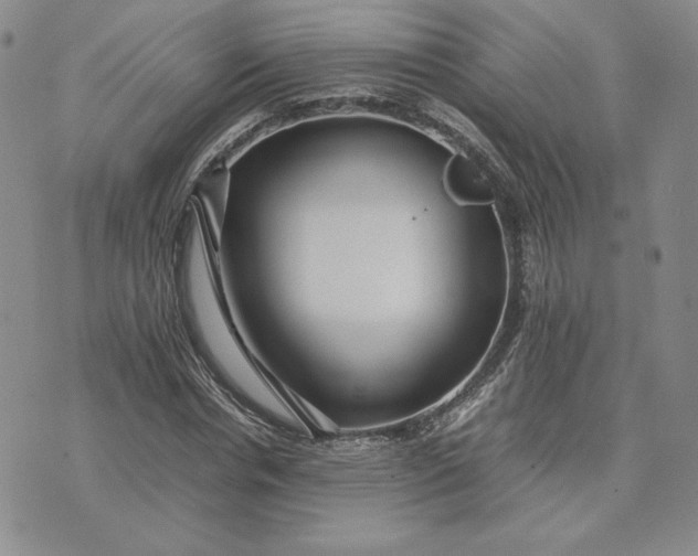 X0000075360826200609251059