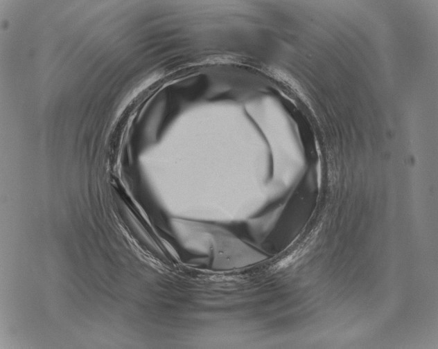 X0000075360827200609251059