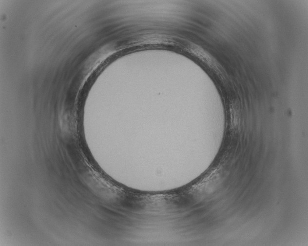 X0000075360828200609251059