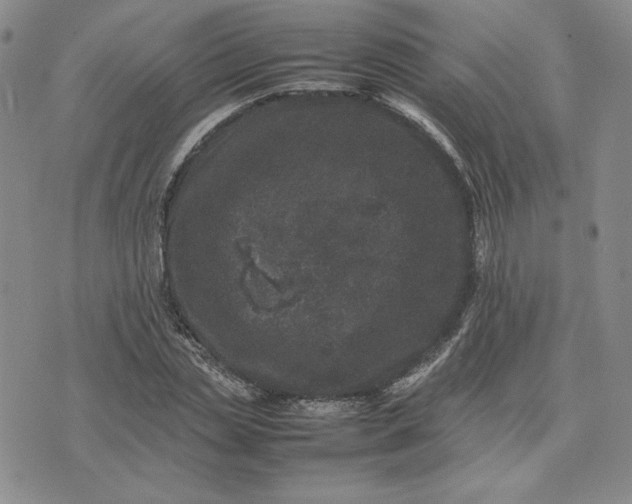 X0000075360829200609251059