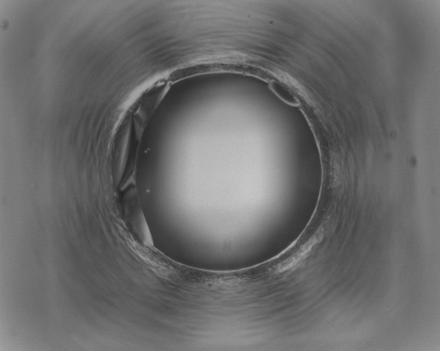 X0000075360830200609251100