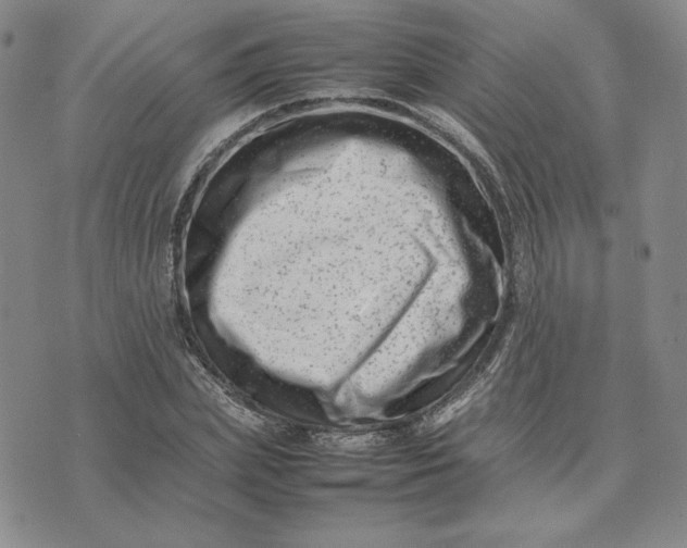 X0000075360831200609251100