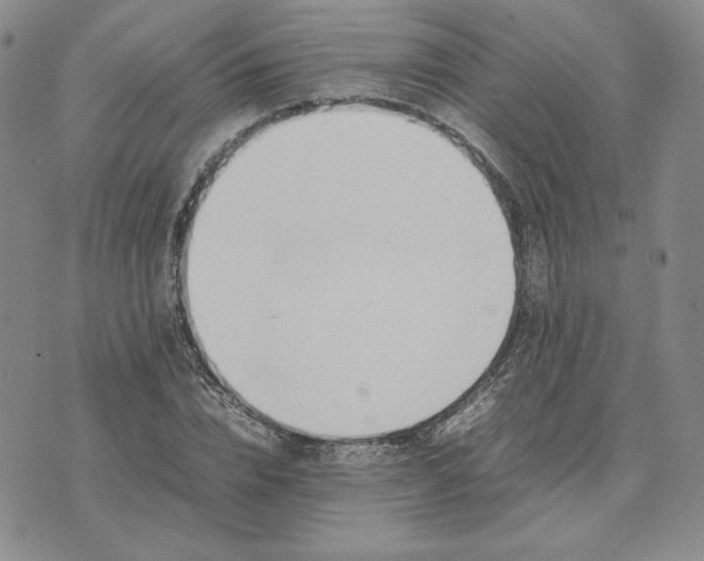 X0000075360832200609251100