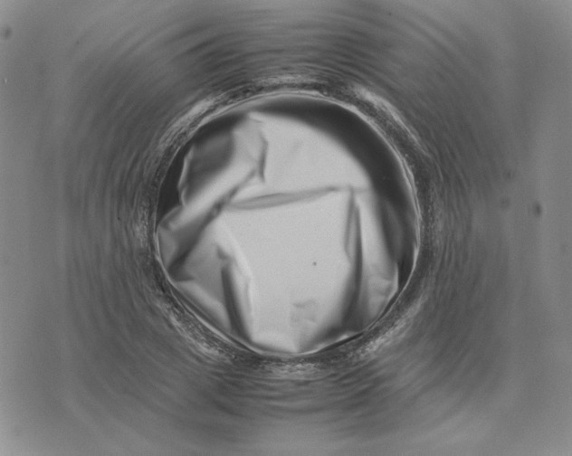 X0000075360833200609251100