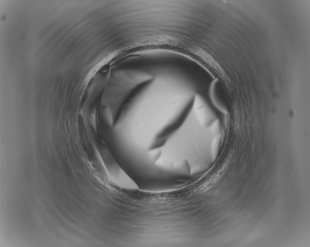 X0000075360834200609251100