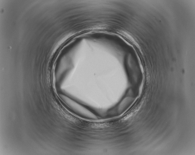 X0000075360835200609251100