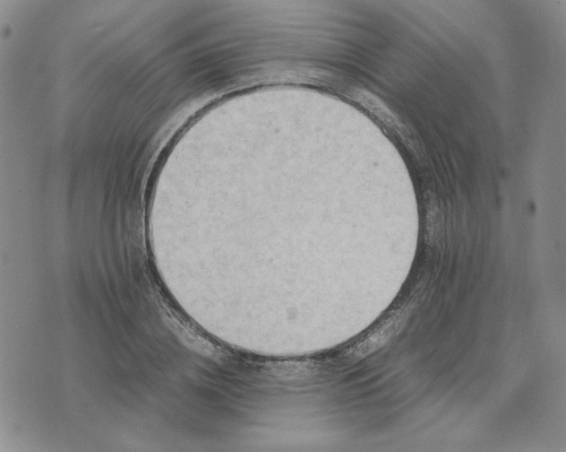 X0000075360836200609251100