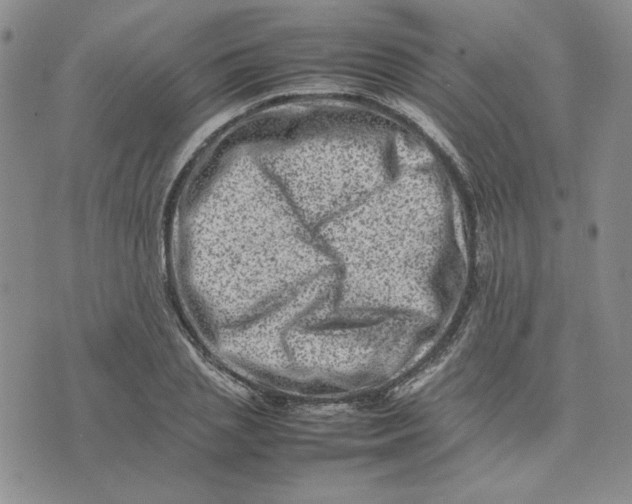 X0000075360837200609251100