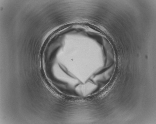 X0000075360838200609251100